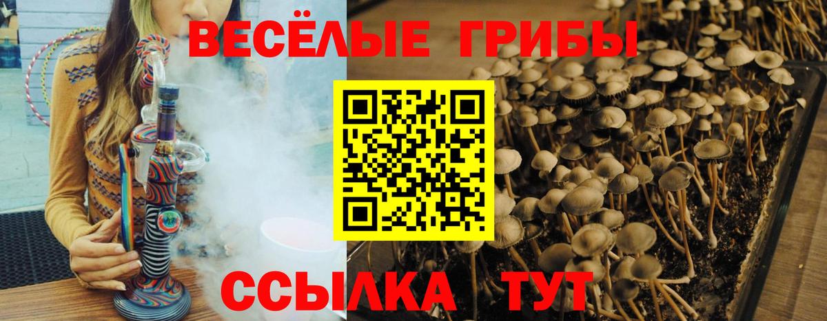 Псилоцибиновые грибы Cubensis  Вход с VPN  Дзержинский 